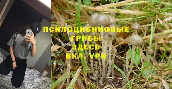 таблы Армянск