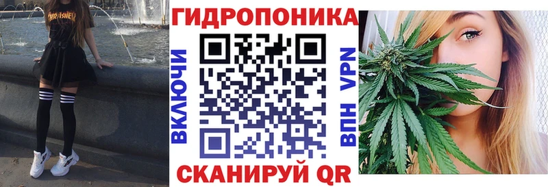 Конопля Ganja  гидра зеркало  Никольск  что такое  